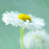 <a href='/e/space/?userid=49764' target='_blank'>ddss77</a>
