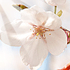 <a href='/e/space/?userid=527' target='_blank'>lkhs001</a>
