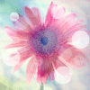 <a href='/e/space/?userid=27079' target='_blank'>shitouchong</a>