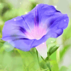 <a href='/e/space/?userid=49764' target='_blank'>ddss77</a>