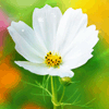 <a href='/e/space/?userid=49764' target='_blank'>ddss77</a>