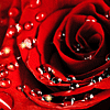 <a href='/e/space/?userid=27079' target='_blank'>shitouchong</a>
