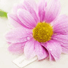 <a href='/e/space/?userid=27079' target='_blank'>shitouchong</a>