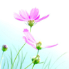 <a href='/e/space/?userid=49764' target='_blank'>ddss77</a>