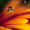 <a href='/e/space/?userid=527' target='_blank'>lkhs001</a>